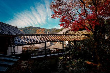 A serene autumn village scene featuring traditional tiled roofs, Nov 23 2025のeditorial素材