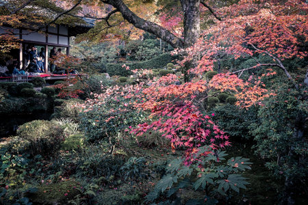 Serene Maple Garden with Moss and Stone Lanterns in Kyoto Nov 23 2025
