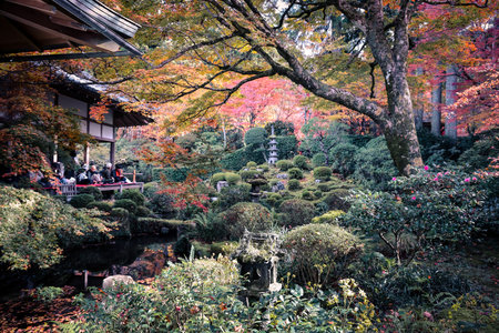 Serene Zen Garden with Moss and Maple at Sanzen in Nov 23 2025のeditorial素材