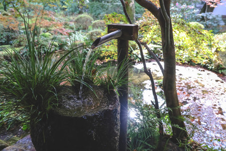 A traditional wooden Japanese temple sits beside a forest of colorful autumn leave Nov 23 2025のeditorial素材
