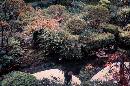Serene Maple Garden with Moss and Stone Lanterns in Kyoto Nov 23 2025のeditorial素材