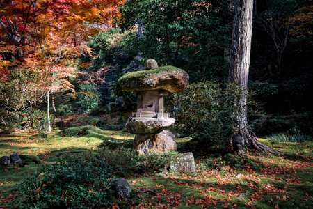 Serene Maple Garden with Moss and Stone Lanterns in Kyoto Nov 23 2025のeditorial素材