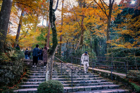 Traditional Zen Garden Design with Moss and Maple Trees Nov 23 2025のeditorial素材