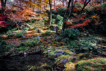 Serene Maple Garden with Moss and Stone Lanterns in Kyoto Nov 23 2025のeditorial素材