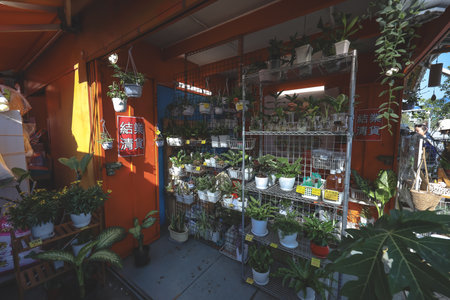 Jan 17 2026 Lively outdoor market showcases diverse goods and bustling community activityのeditorial素材