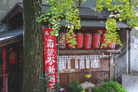 Ancient Buddhist temple blending tradition and culture in Kyoto Nov 29 2025のeditorial素材