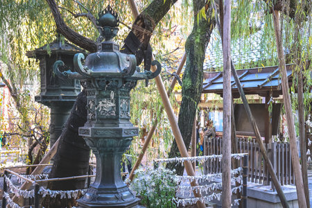 Ancient Buddhist temple blending tradition and culture in Kyoto Nov 29 2025のeditorial素材