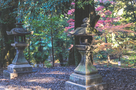 Red Bridge at Fushimi Inari Taisha Shrine Kyoto Nov 29 2025のeditorial素材