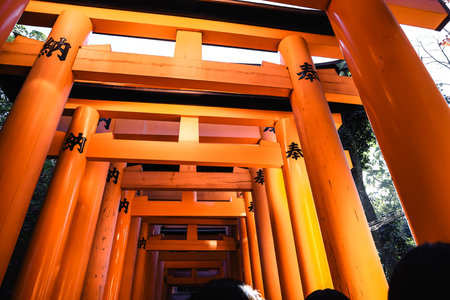 Exploring Fushimi Inari Thousand Torii Gates Cultural Wonder Nov 29 2025のeditorial素材