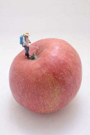 Tiny agricultural figurine treats oversized fruit with sprayerの写真素材