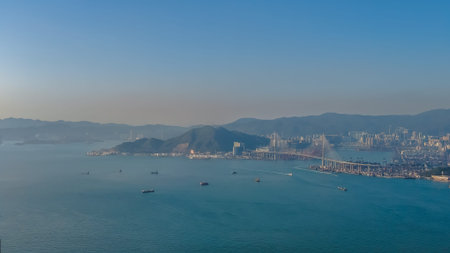 Elegant cable stayed bridge rises prominently above wide harbour landscape Feb 14 2026