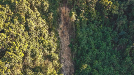 Exposed soil reveals narrow erosion channel within green woodland Feb 14 2026の写真素材