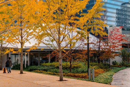 Urban park offering greenery and relaxation near Osaka Station Nov 25 2025のeditorial素材