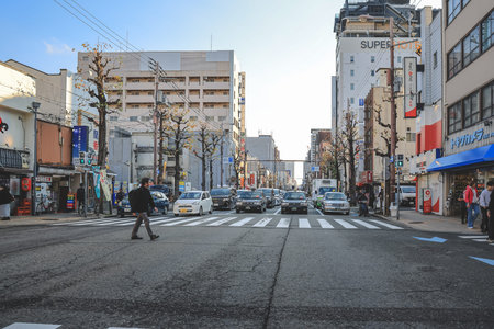 Bustling shopping street known for electronics and anime Nov 25 2025のeditorial素材