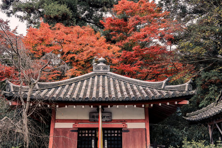 Traditional Buddhist hall surrounded by seasonal temple gardens Nov 26 2025