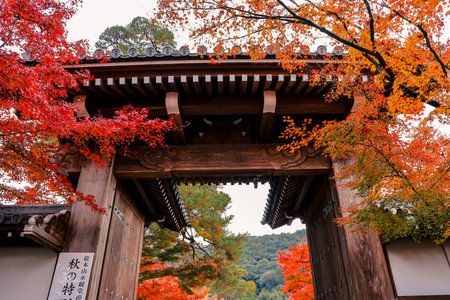 Traditional entrance surrounded by vibrant seasonal maple foliage Nov 26 2025