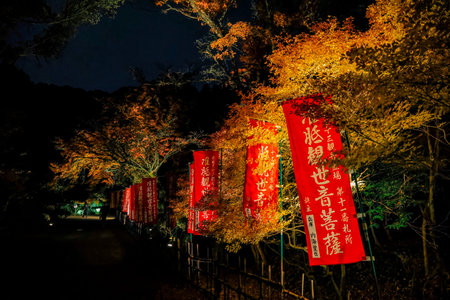 Vibrant red banners with autumn foliage at night Nov 26 2025