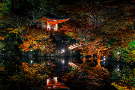 Historic Kyoto temple pond glowing with autumn night foliage Nov 26 2025
