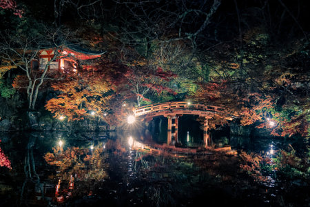 Historic Kyoto temple pond glowing with autumn night foliage Nov 26 2025