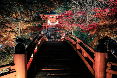 Autumn foliage surrounds temple walkway beneath warm evening lanterns Nov 26 2025