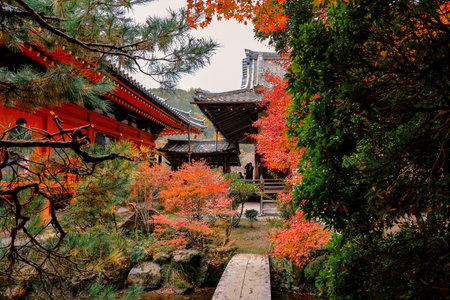 Traditional Buddhist hall surrounded by seasonal temple gardens Nov 26 2025