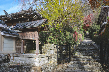 Daily rural life in peaceful Japanese mountain village Nov 23 2025