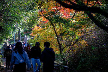 Daily rural life in peaceful Japanese mountain village Nov 23 2025