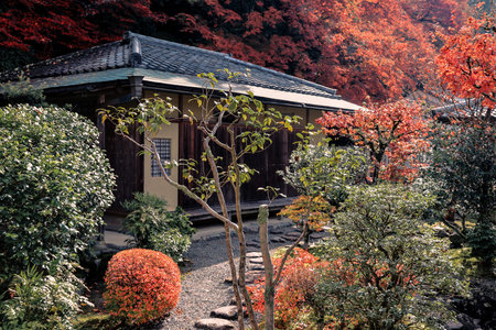 Raked sand and stones framed by vibrant seasonal foliage Nov 26 2025