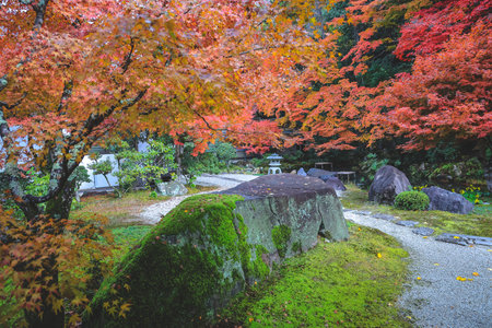 Raked sand and stones framed by vibrant seasonal foliage Nov 26 2025のeditorial素材