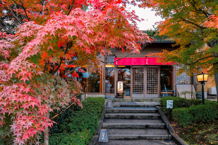 Protected historic landscape preserving traditional environment and scenery Nov 26 2025
