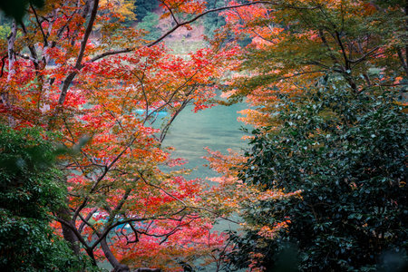 Picturesque Japanese Neighborhood Combining Tradition and Nature Nov 24 2025のeditorial素材