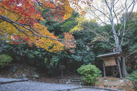 Historic Park and Scenic Hillside in Kyoto Japan Nov 24 2025