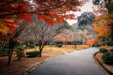 Historic Park and Scenic Hillside in Kyoto Japan Nov 24 2025