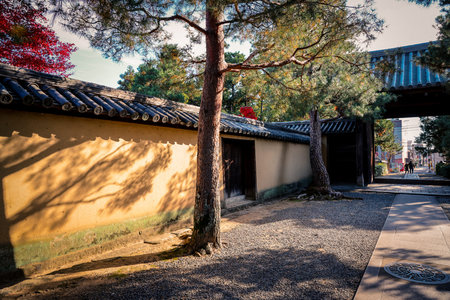 Vibrant Seasonal Foliage Surrounding Historic Japanese Architecture Nov 24 2025