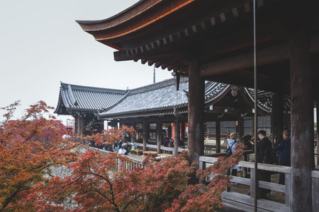 Historic Japanese Temple Hall Welcoming Travellers in Kyoto Nov 25 2025