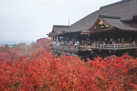 Historic wooden hall framed by vibrant autumn foliage Nov 25 2025
