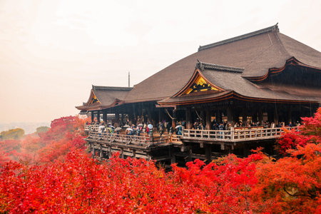 Historic wooden hall framed by vibrant autumn foliage Nov 25 2025