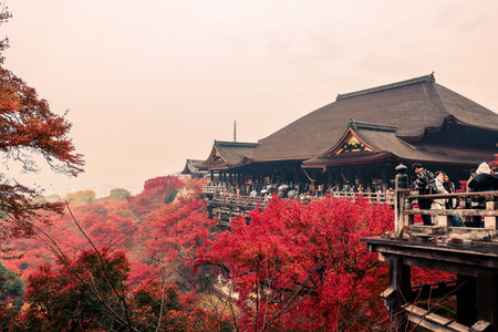 Historic wooden hall framed by vibrant autumn foliage Nov 25 2025