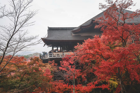 Historic wooden hall framed by vibrant autumn foliage Nov 25 2025