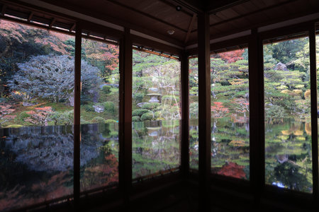 Former temple site adorned with vibrant maple foliage and sunlight Nov 27 2025