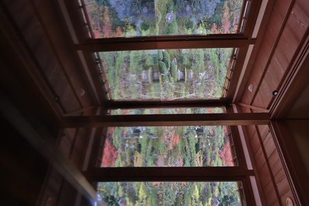 Former temple site adorned with vibrant maple foliage and sunlight Nov 27 2025