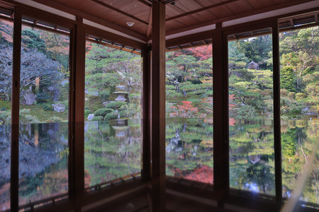 Former temple site adorned with vibrant maple foliage and sunlight Nov 27 2025