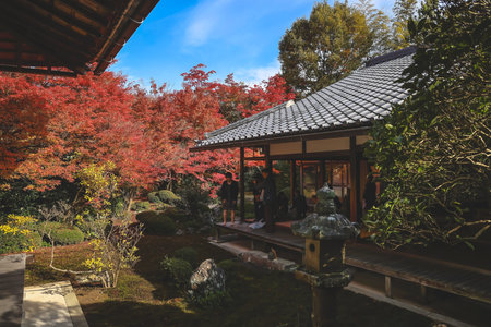 the Autumn Foliage Highlighting Japanese Seasonal Beauty Nov 24 2025