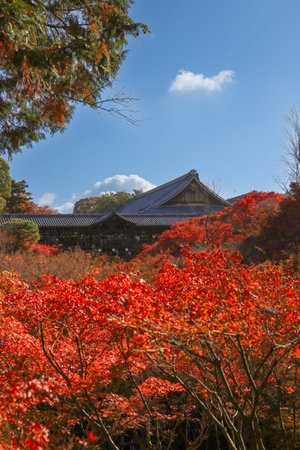 Historic wooden bridge surrounded by vibrant autumn foliage