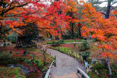 Autumn foliage in serene Hogon in Temple garden Kyoto Nov 28 2025