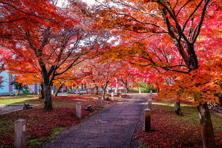 Autumn foliage scenery at historic Chishakuin Temple Kyoto Nov 28 2025のeditorial素材