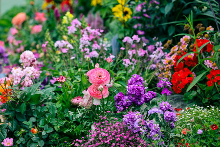 Various colorful species create layered texture across dense floral patch March 21 2026