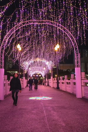 Lek Yuen Bridge at night in Sha Tin, Hong Kong Dec 27 2025