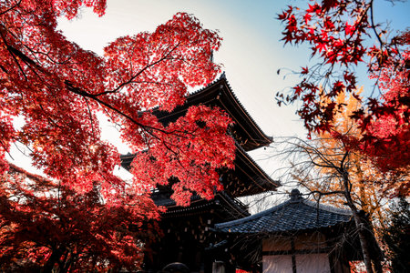 Historic pagoda surrounded by vibrant autumn foliage in temple grounds Nov 26 2025