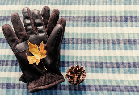Gloves with Autumn themeの写真素材